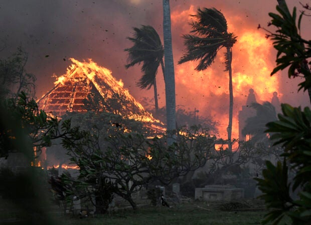 Korban Tewas Kebakaran Hutan di Hawaii Mencapai 93 Jiwa